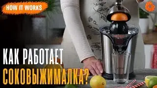 Как устроена СОКОВЫЖИМАЛКА? ✅ How it works (COMFY)