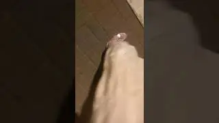Порвались босоножки, вызвала такси