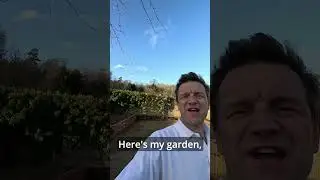 What Garden Lights to Install? #shorts