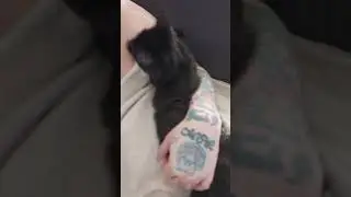 My morning started with cuteness