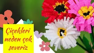 Çiçekler neden çok sevilir?