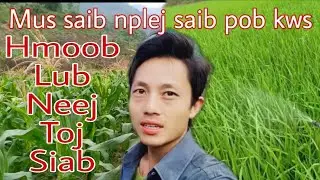 Coj sawv daws Mus saib kuv vov pob kws nawb_mus tsuag tshuaj nplej