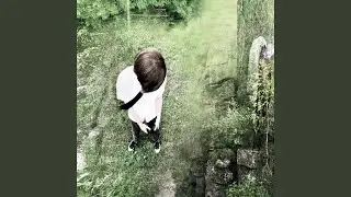LTE