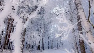 Куда я пропала на 2 месяца???