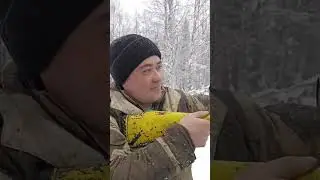 Инновационная крышка на оптику #охота #карабин#оптика