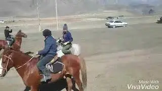 Додомол дайардыкта