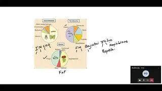 Biodiversity lecture 1