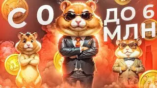 6 июня Хамстер Комбат 6 000 000 монет за минуту ! Комбо карты ! Combo Hamster Kombat Новичку