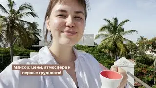 ИНДИЯ: Цены, Атмосфера в Майсоре и Летающие Муравьи
