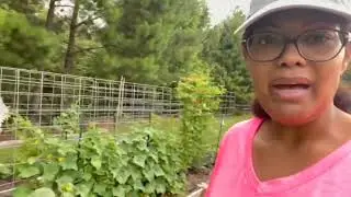 Bluetti Prime Day Giveaway | Garden Talk