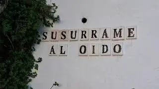 Setenil de las Bodegas i voltants-08/01/2026