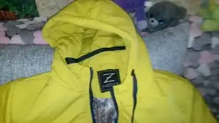 Видеообзор на Парку NIZONI