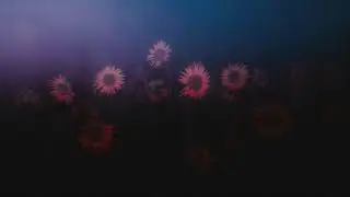 LAYØN - Beside Me