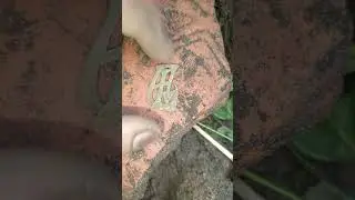 Интересный значок .