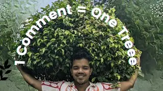 1 Comment ,1 Tree , Great Difference