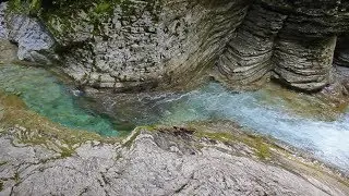 Вода — элемент жизни