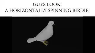 A Horizontally Spinning Birdie