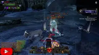 Neverwinter Flip-A-Coin - Light Of Xaryxis