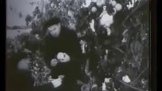 Georgia 1959-1964(2)