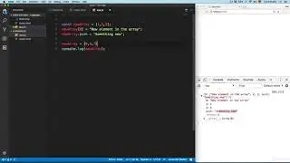 20  Const Variables with Arrays & Objects