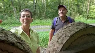 Bertradaroute