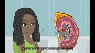 Elementary Science Class 7: Transportation in Animals and Plants