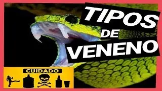 VENENO DE SERPIENTES ☣️🐍