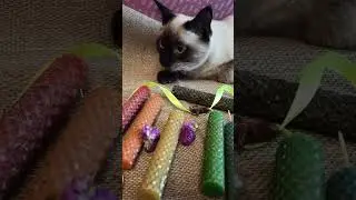 Помощник😼 дал добро, проверку прошли)) можно упаковывать ✨ 