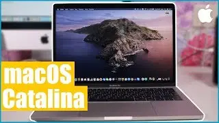 macOS Catalina. Что нового в 10.15 beta 1