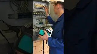 ЧТО БУДЕТ, ЕСЛИ ВСЕ МАЛЬЧИКИ ИСЧЕЗНУТ