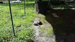 Leave me alone !!!!! ( I just woke up lol)
