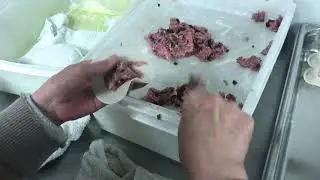Pork Dumplings