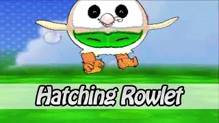 Hatching Rowlet - Pokemon Omega Ruby / Alpha Sapphire (Hack)