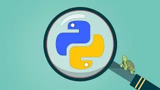 Python & Turtle: A Practical Guide for Beginners and Beyond (Preview)
