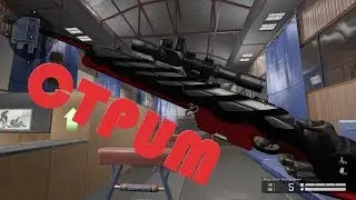 🔴 WARFACE. ПИНЫ! Стрим. LUGER Навсегда Уже завтра!!!!! Читаем описание!!!