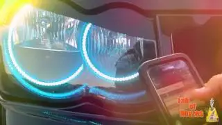 Car insurance for nice cars and if not so its look like game