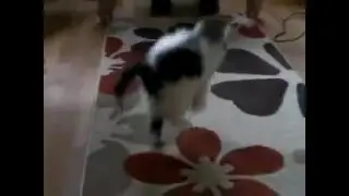 Котёнок и ковёр от РУССКАЯ ПРИРОДА