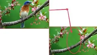 remove unwanted objects from photos free on Picsart/picsart clone tool extra,,,