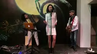 My accordion debut