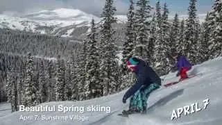 Recent Photos in Banff Skiing - april 9