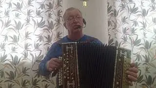 Песня под гармонь "Районный Дом Культуры" исп. Алексей Морев