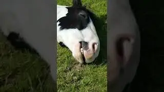 Me snoring
