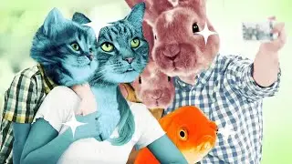 Quick Gumball Parody