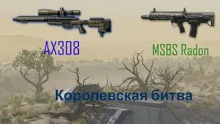 Warface AX308 & Radon + Королевская битва