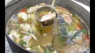 Царская УХА от  Шефа 