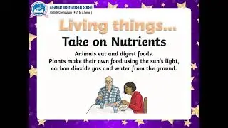 AY2021  T1 W2  PERIOD 3  SCIENCE-What can living things do?