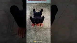 #viral #shortvideo #army #subscribe #armyfan #armylover #sorts #armyfan #agniveer #fitness