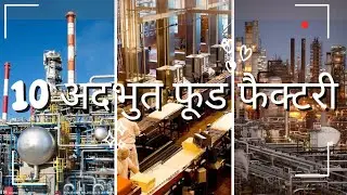Inside the Most Amazing Food Factories || 10 अदभुत फूड फैक्ट्री || Ten Amazing 🤩 Food Factory