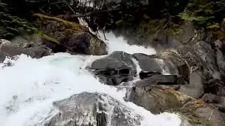 RIB ride along the Lynn Canal in Alaska