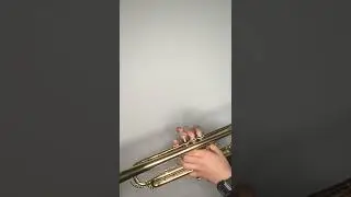 El Pato Loco Bigginer Trumpet